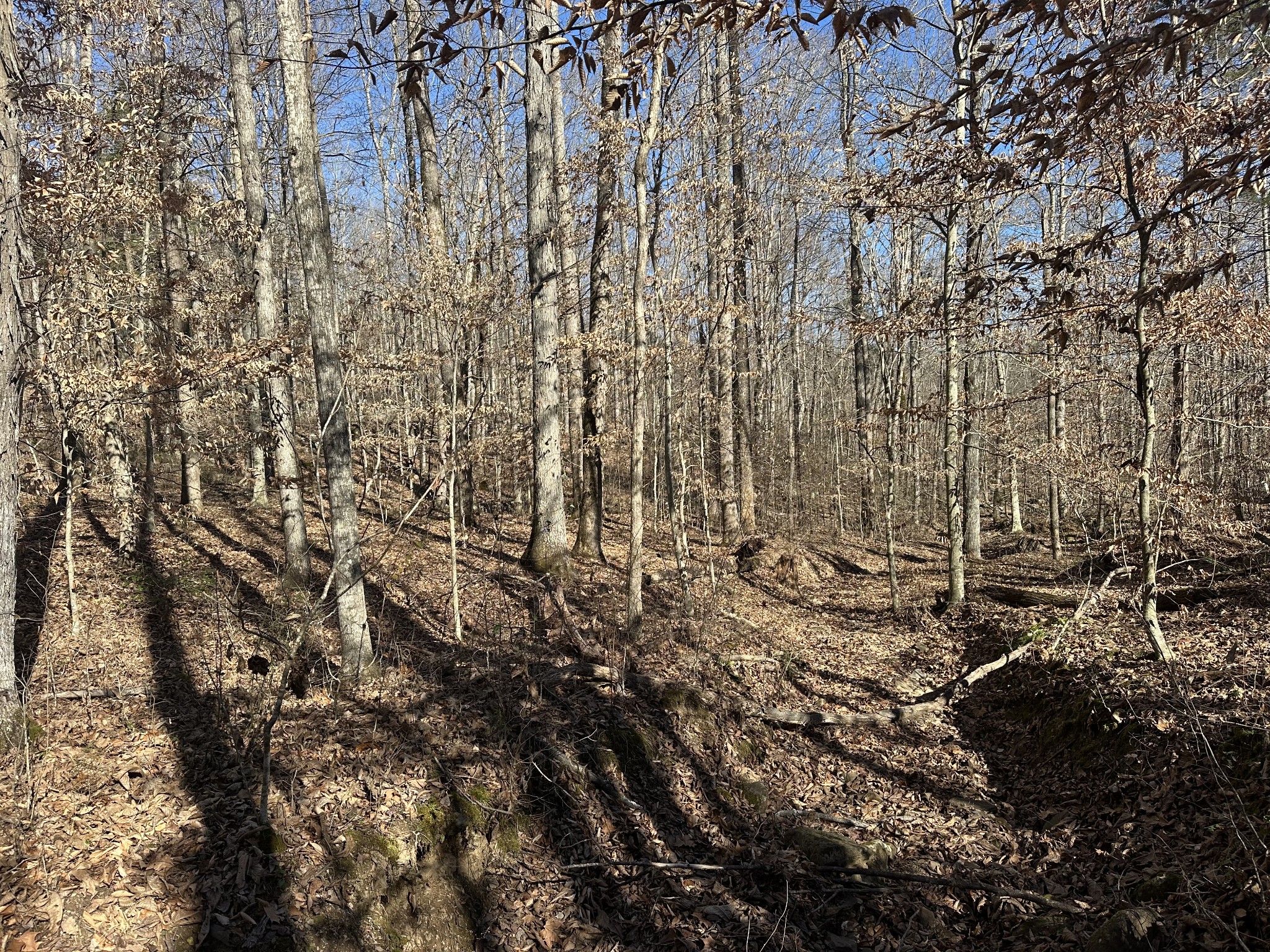0 Whites Cave Road Sparta TN 38583