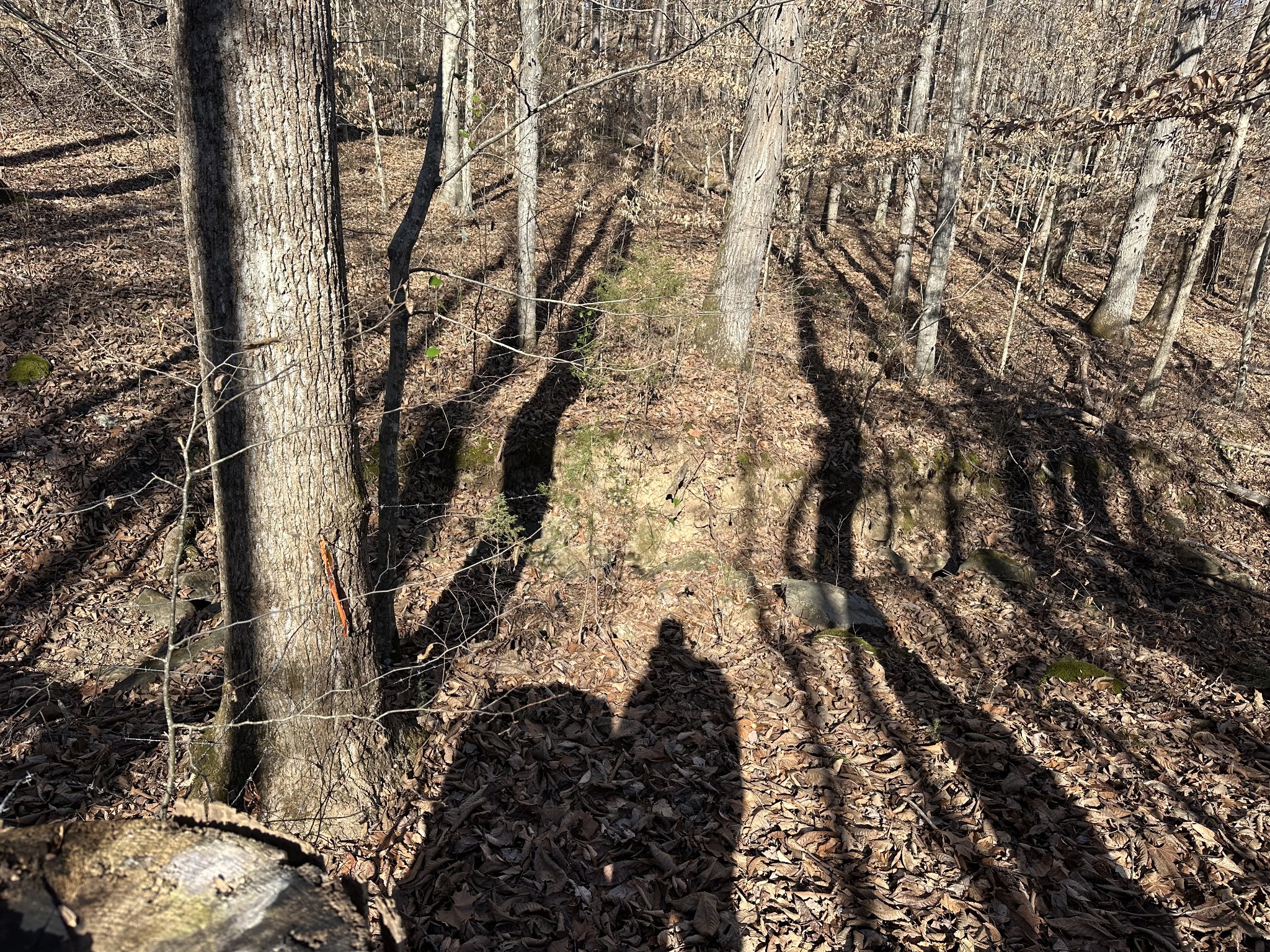 0 Whites Cave Road Sparta TN 38583