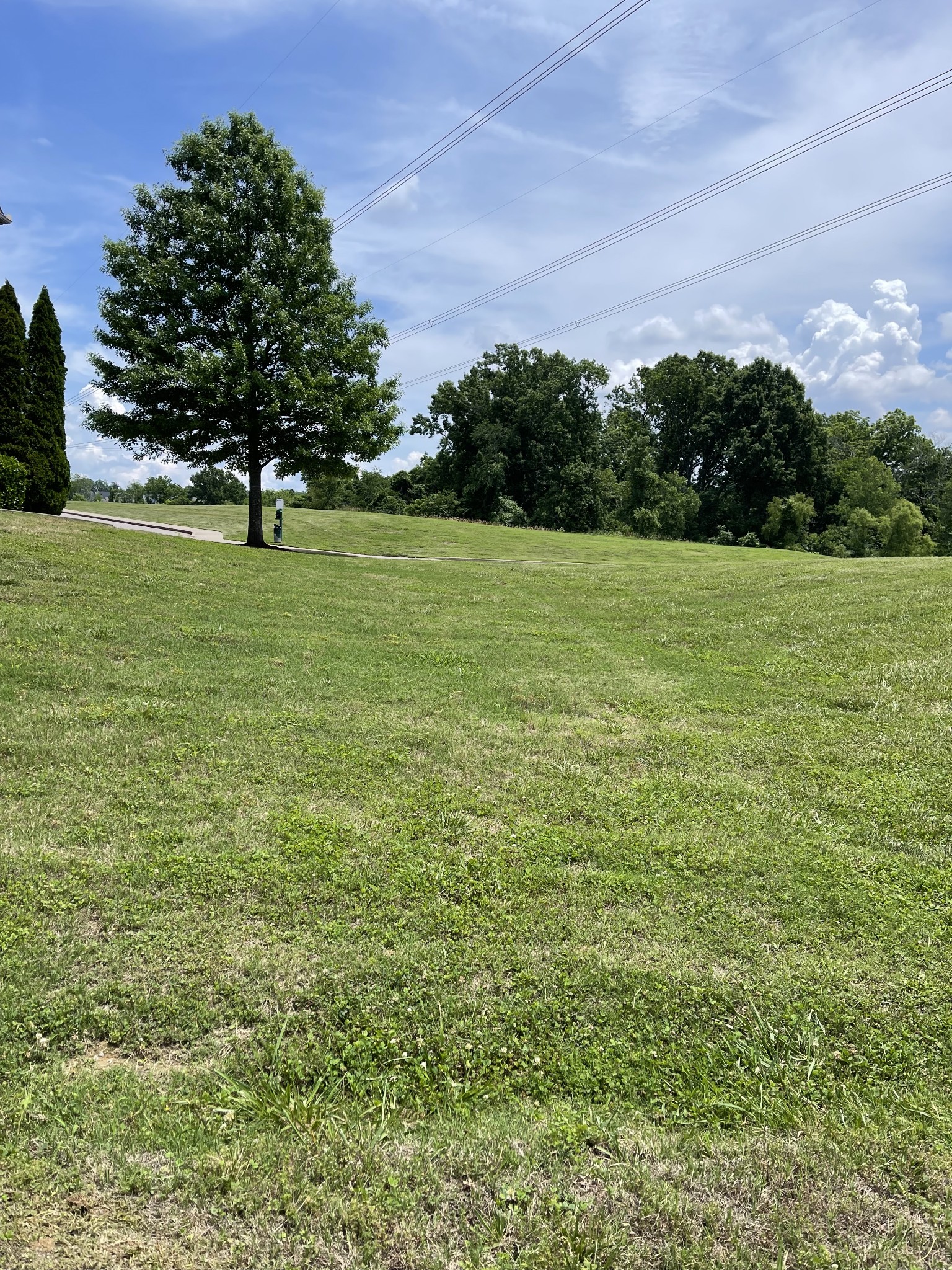 8639 Altesse Way Brentwood TN 37027