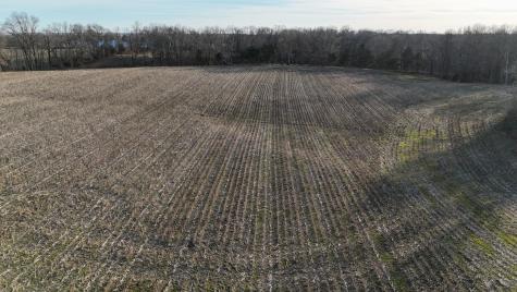 0 Highway 79 Mc Kenzie TN 38201