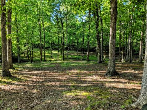 175 Castleton Cove Paris TN 38242