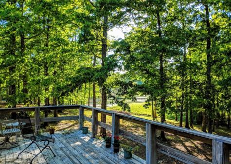 175 Castleton Cove Paris TN 38242
