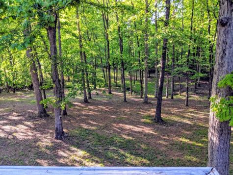 175 Castleton Cove Paris TN 38242