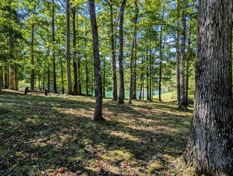 175 Castleton Cove Paris TN 38242