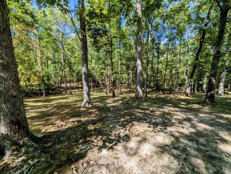 175 Castleton Cove Paris TN 38242