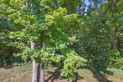 638 Hillview Road Dickson TN 37055