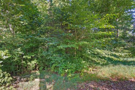 638 Hillview Road Dickson TN 37055