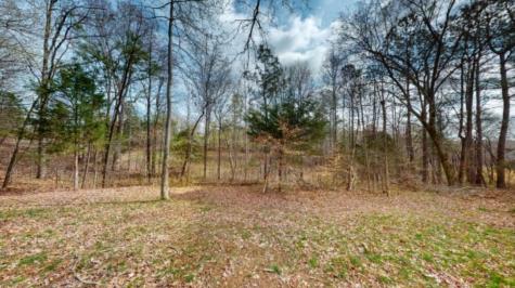 638 Hillview Road Dickson TN 37055