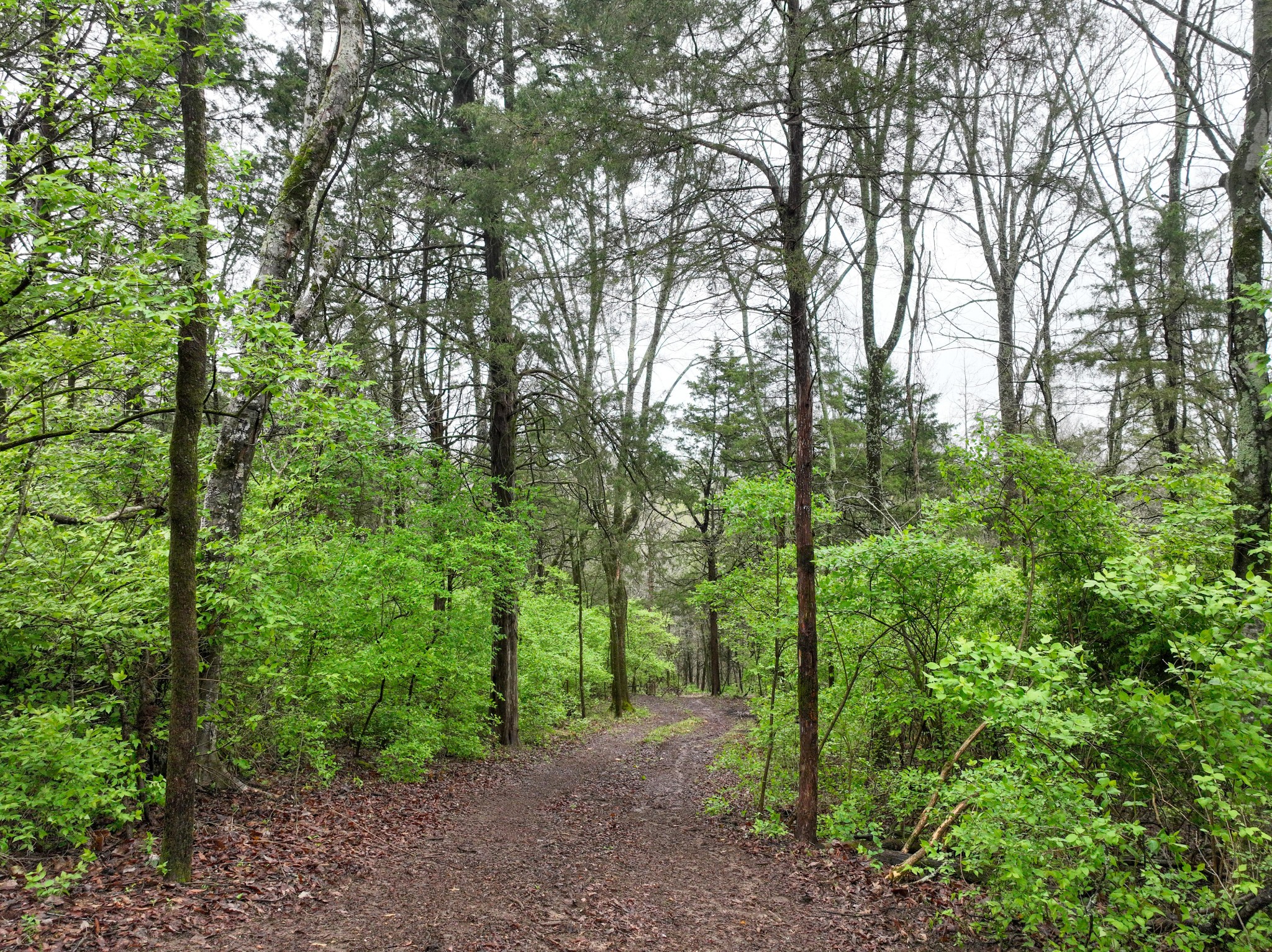1865 Carters Creek Pike Franklin TN 37064