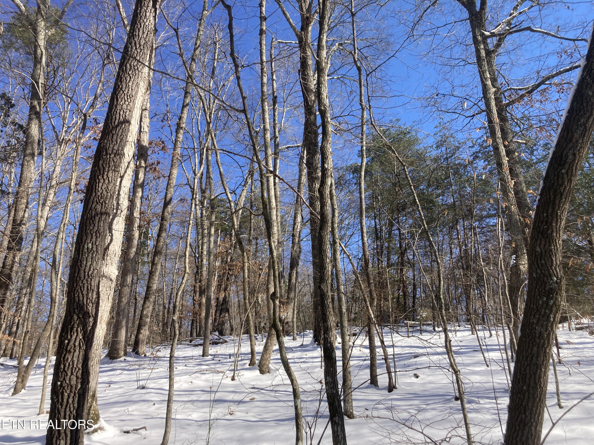 0 Rockfort Road - 100 Acres Pikeville TN 37367
