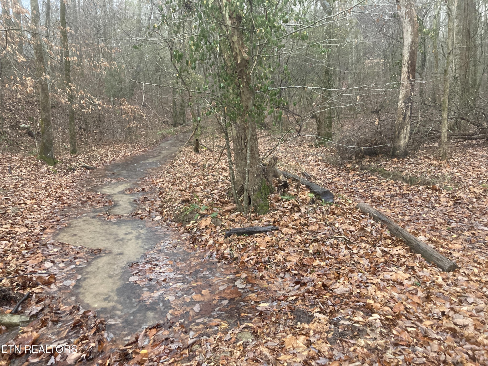 0 Rockfort Road - 100 Acres Pikeville TN 37367