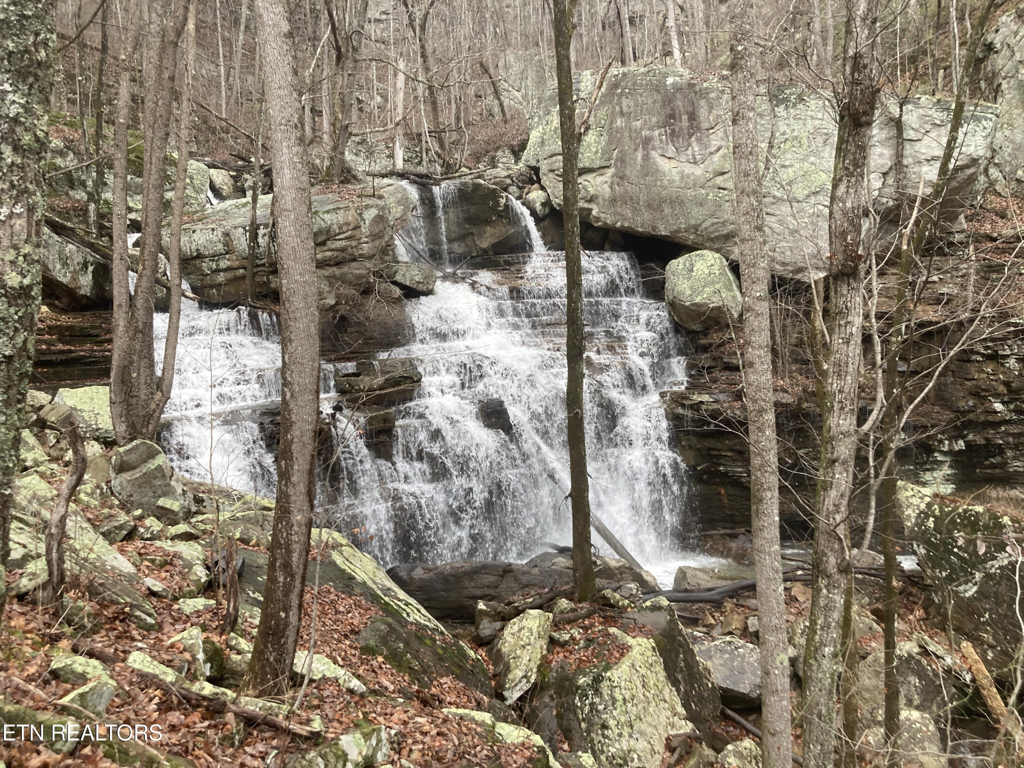 0 Rockfort Road - 100 Acres Pikeville TN 37367