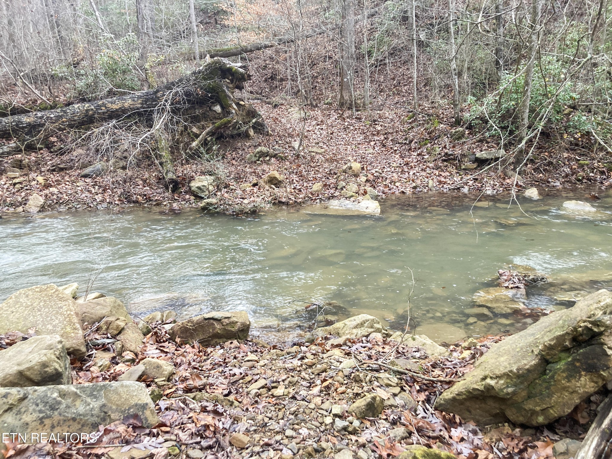 0 Rockfort Road - 100 Acres Pikeville TN 37367