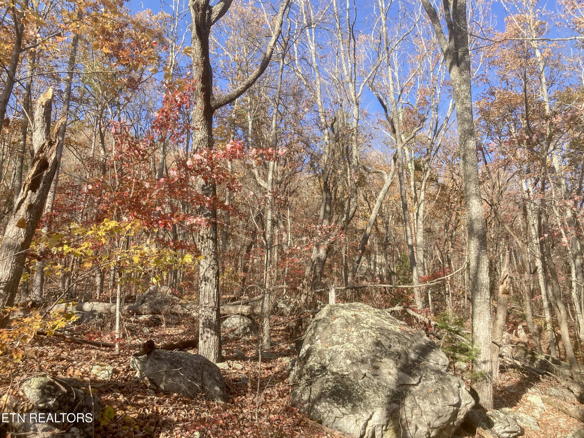 0 Rockfort Road - 100 Acres Pikeville TN 37367