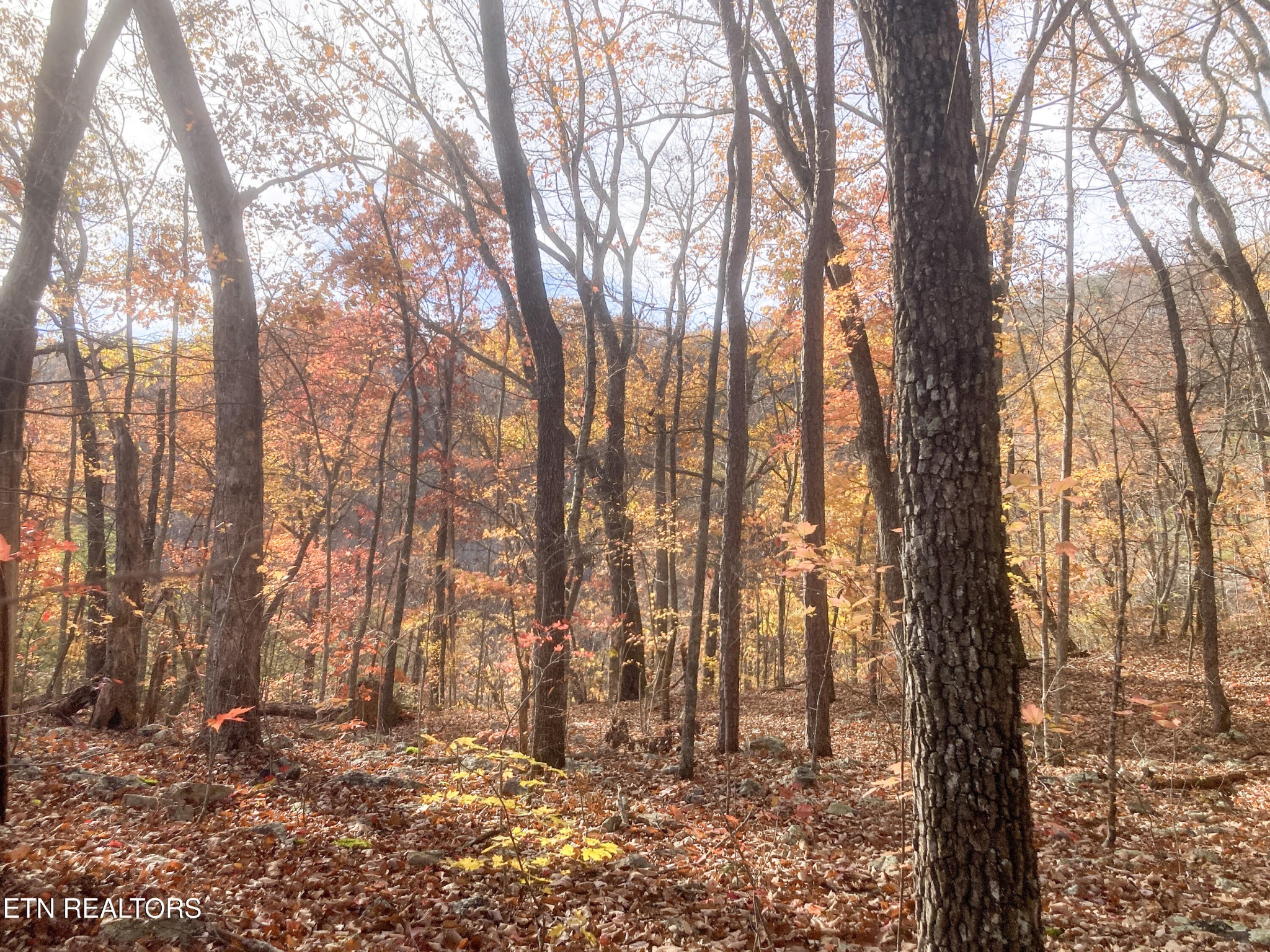 0 Rockfort Road - 100 Acres Pikeville TN 37367