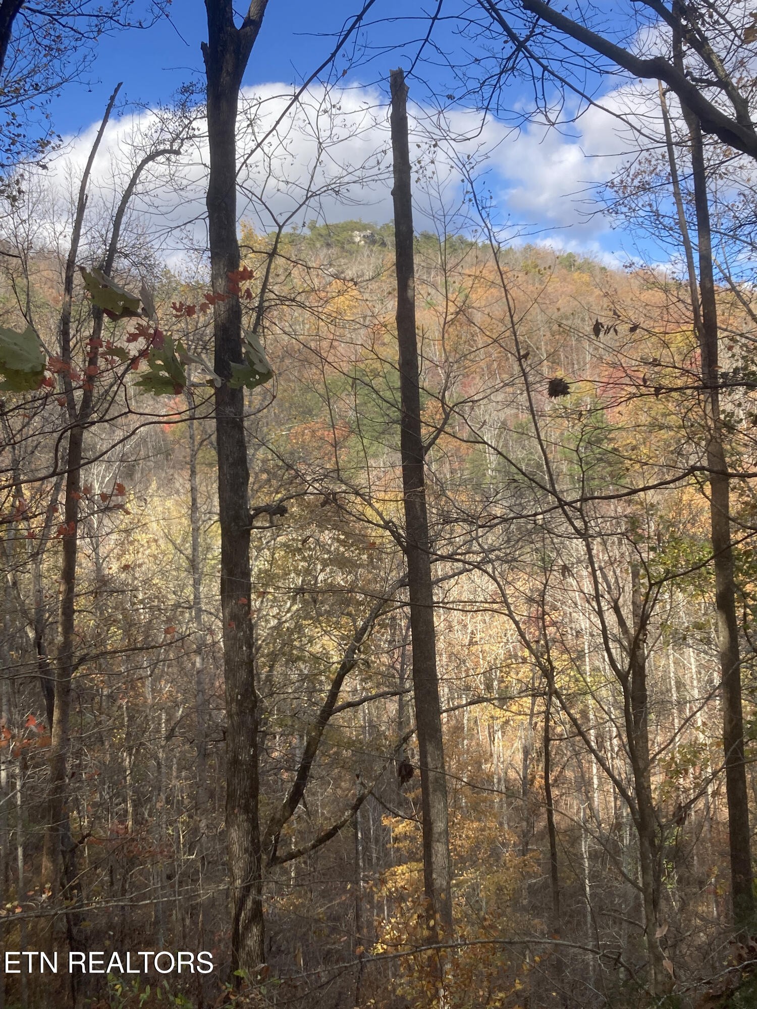 0 Rockfort Road - 100 Acres Pikeville TN 37367
