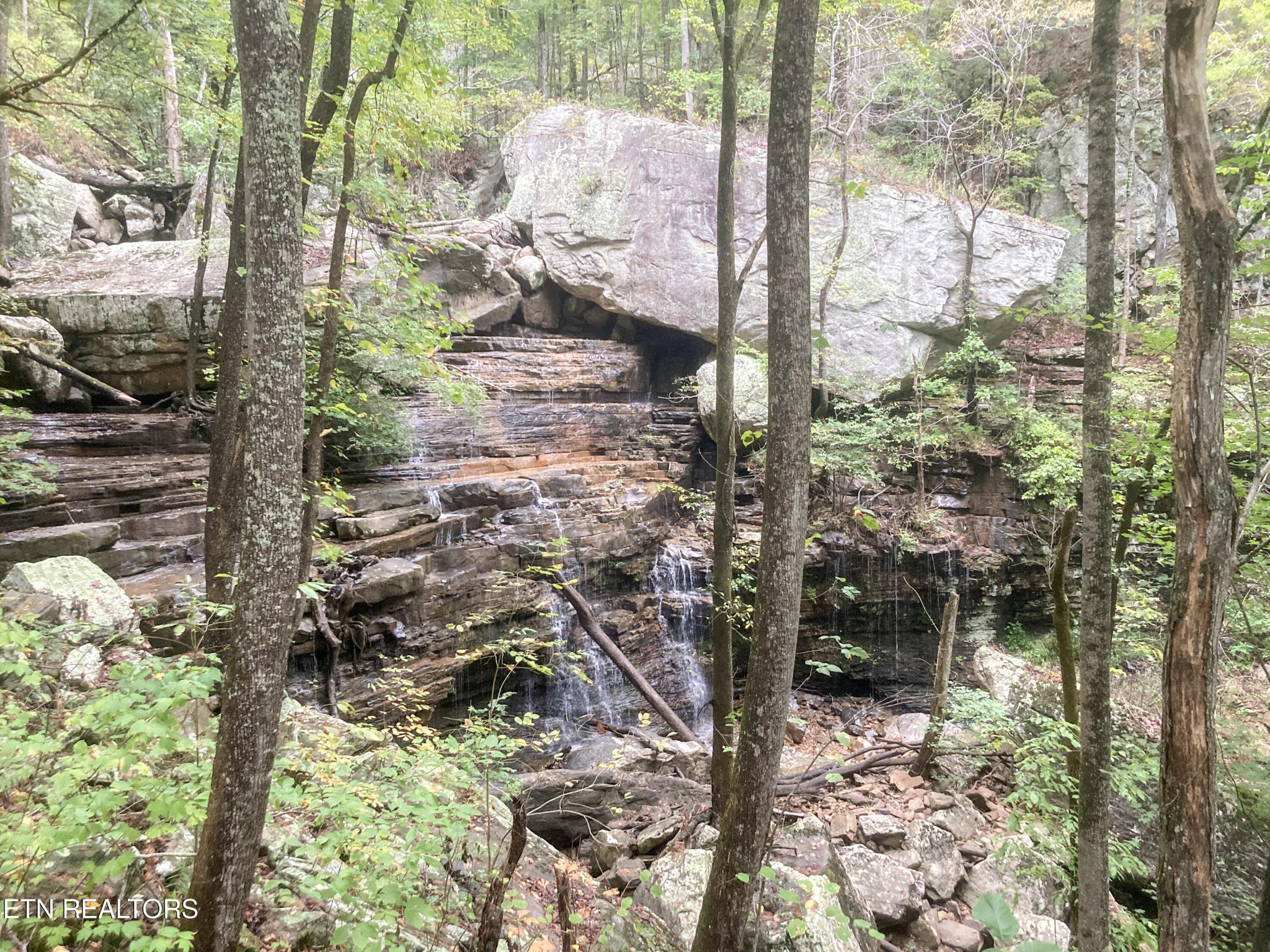 0 Rockfort Road - 100 Acres Pikeville TN 37367