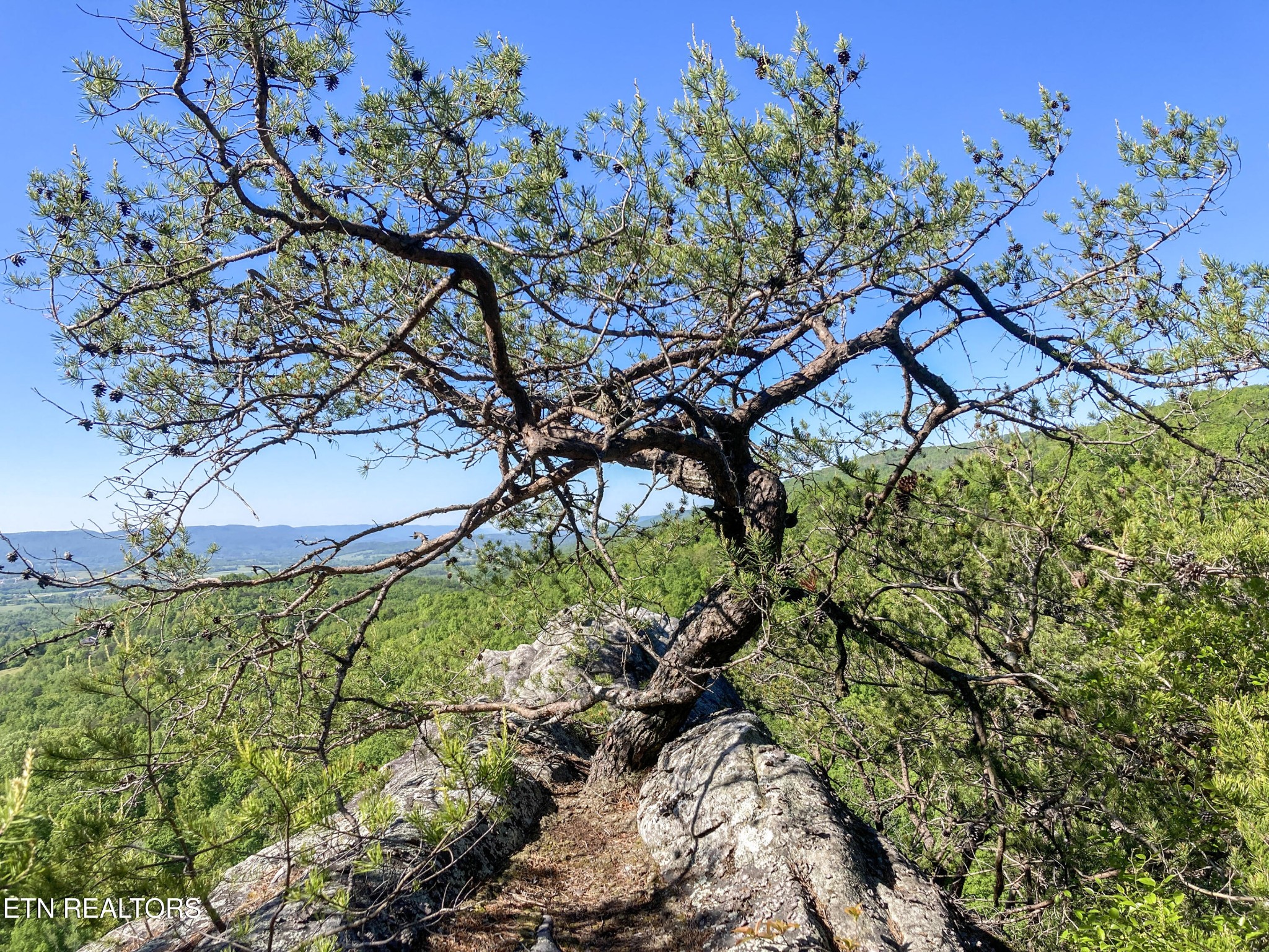 0 Rockfort Road - 100 Acres Pikeville TN 37367