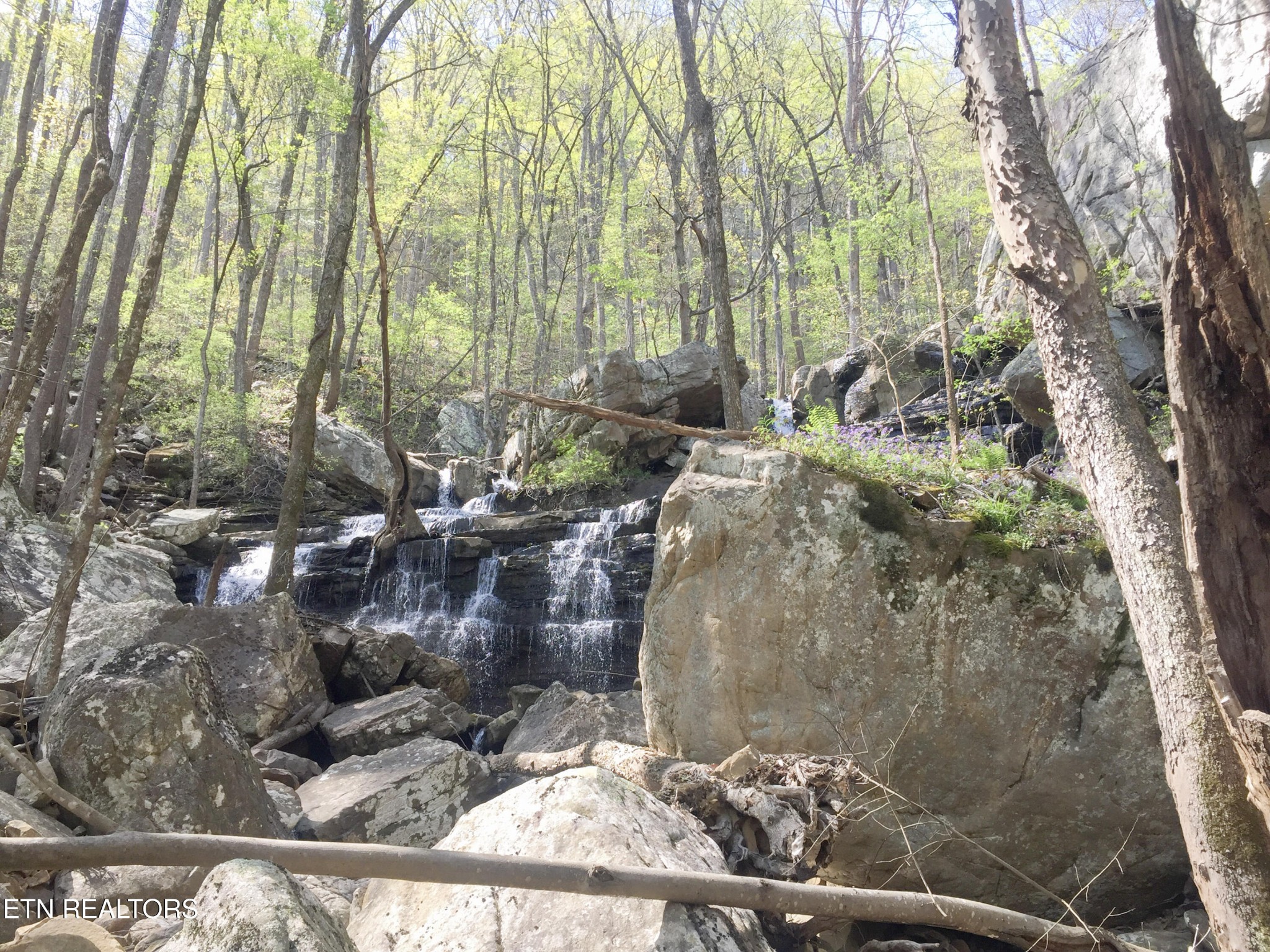 0 Rockfort Road - 100 Acres Pikeville TN 37367