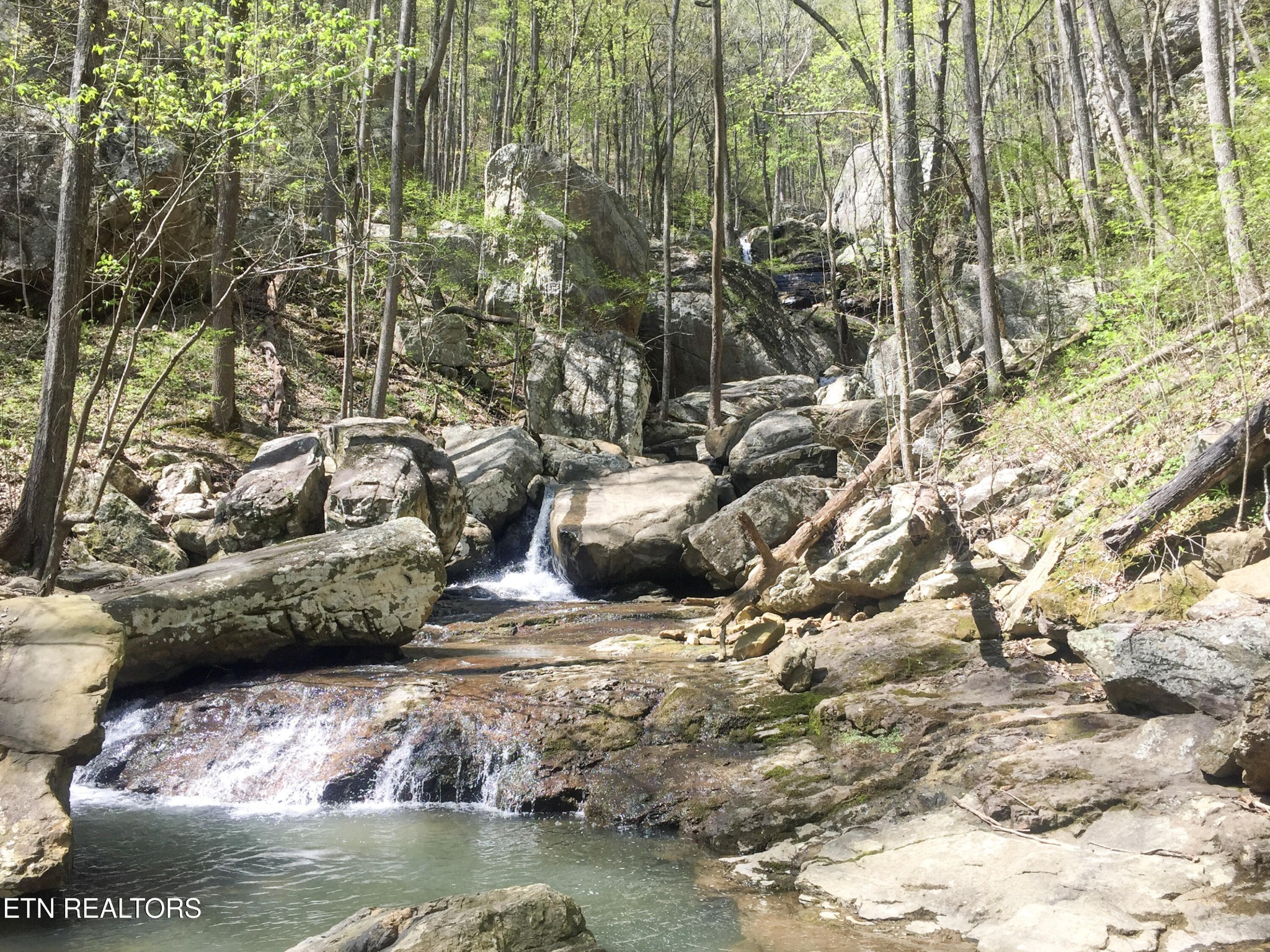 0 Rockfort Road - 100 Acres Pikeville TN 37367
