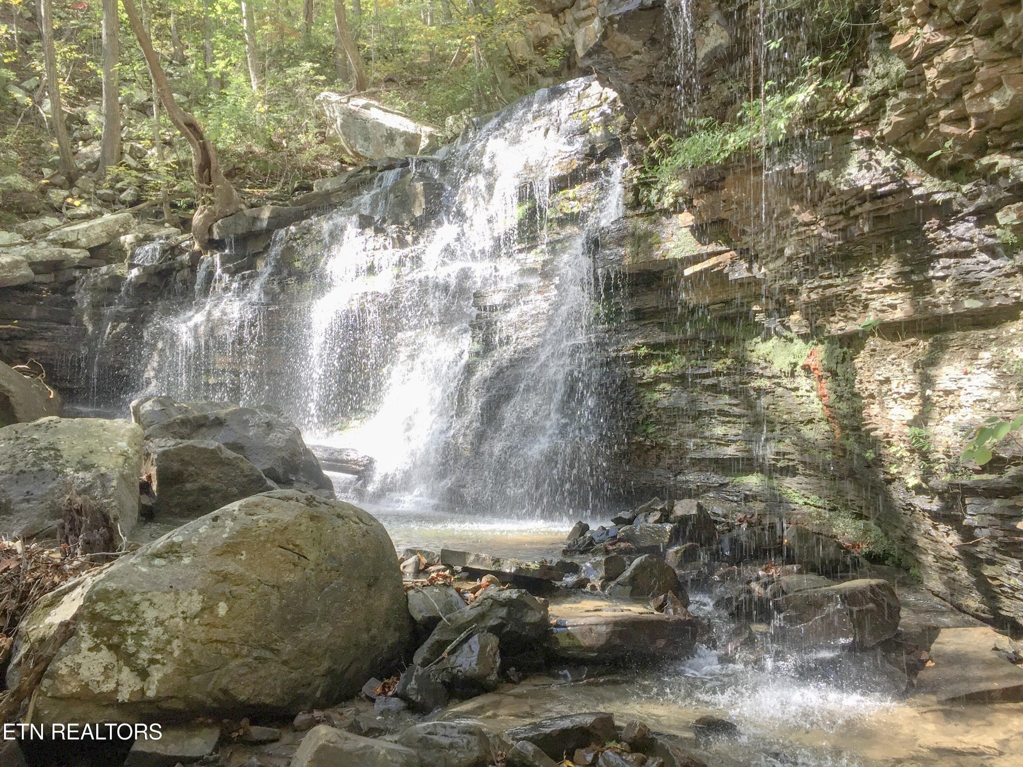 0 Rockfort Road - 100 Acres Pikeville TN 37367