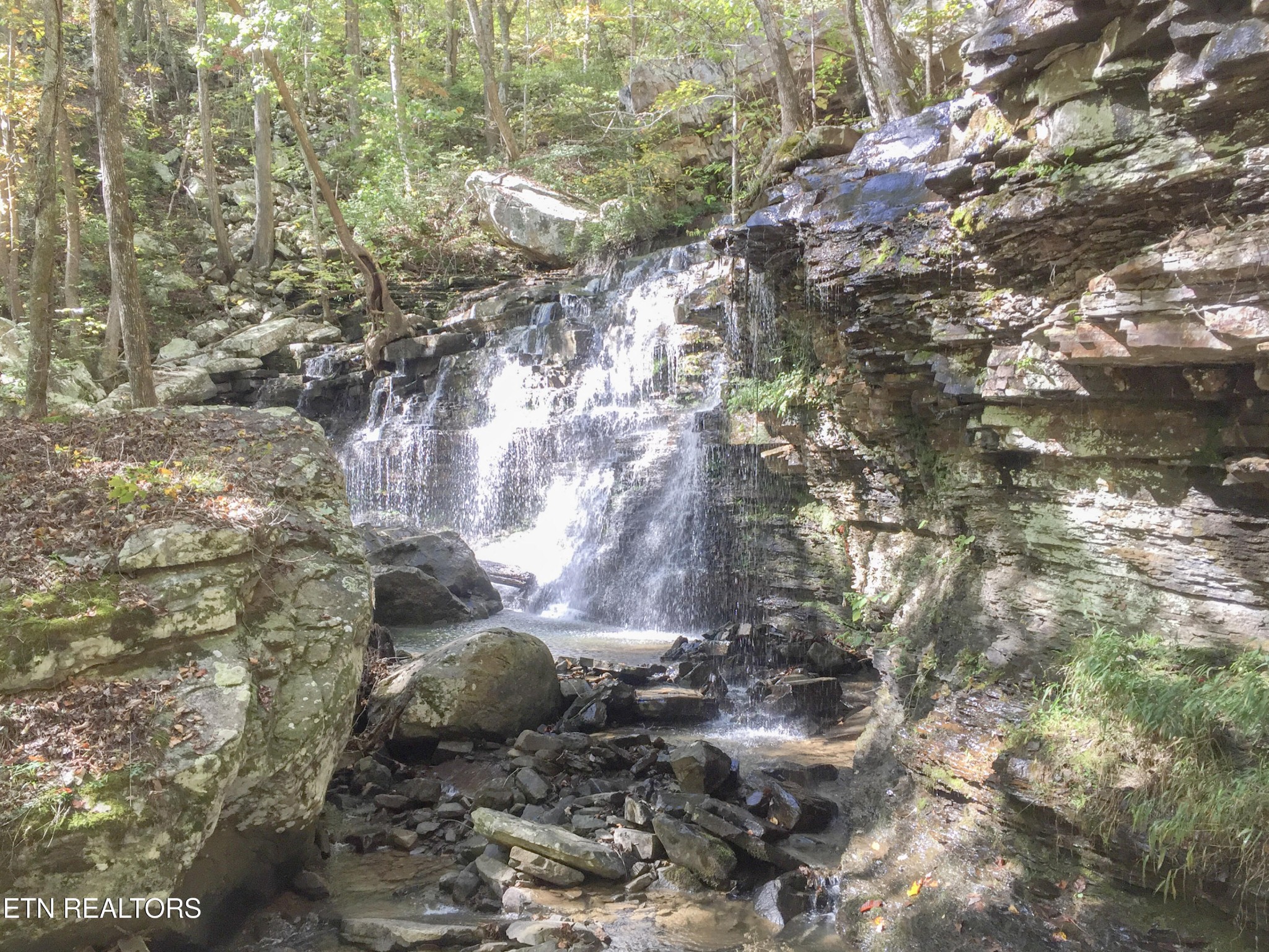0 Rockfort Road - 100 Acres Pikeville TN 37367