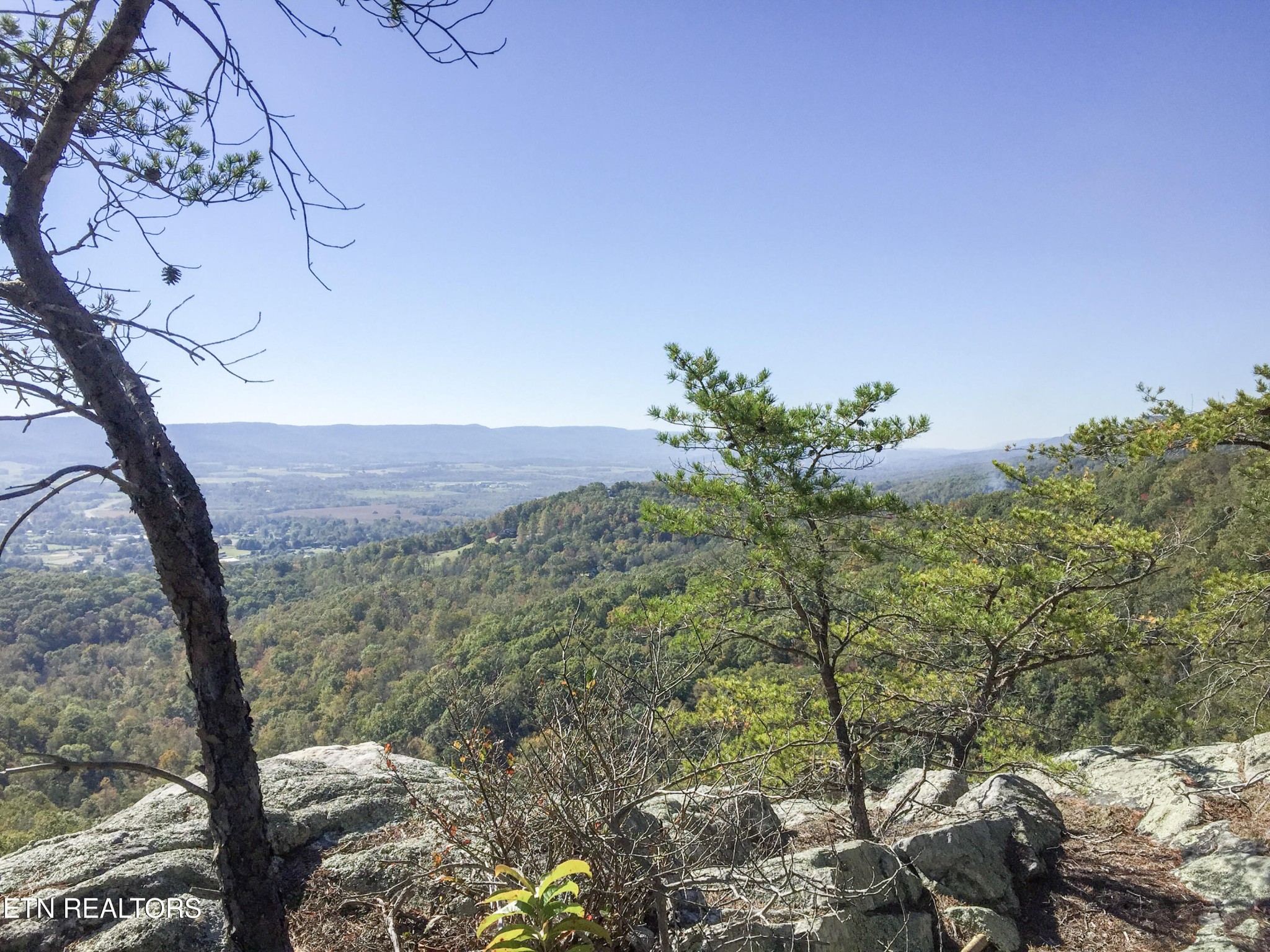 0 Rockfort Road - 100 Acres Pikeville TN 37367