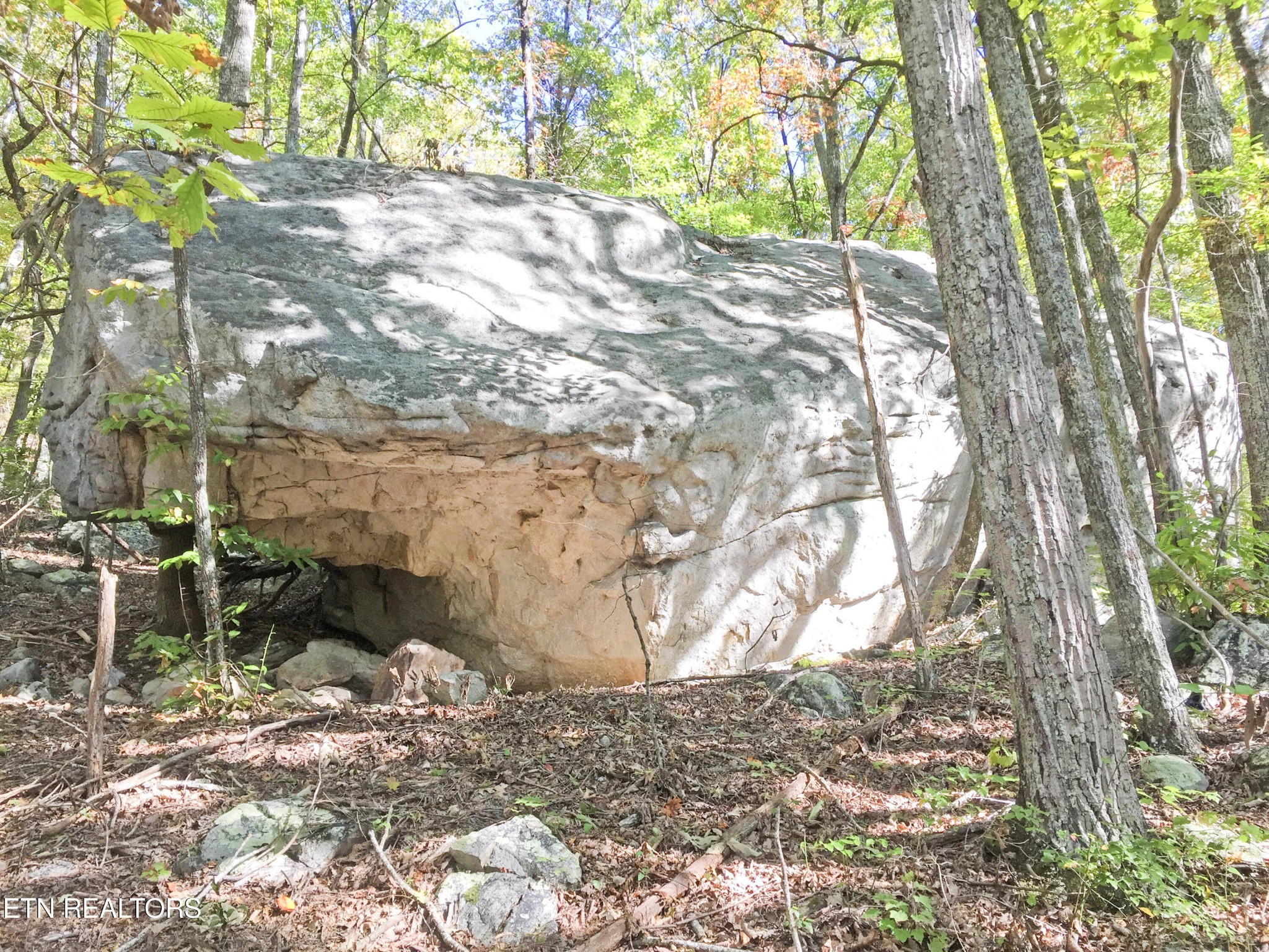 0 Rockfort Road - 100 Acres Pikeville TN 37367
