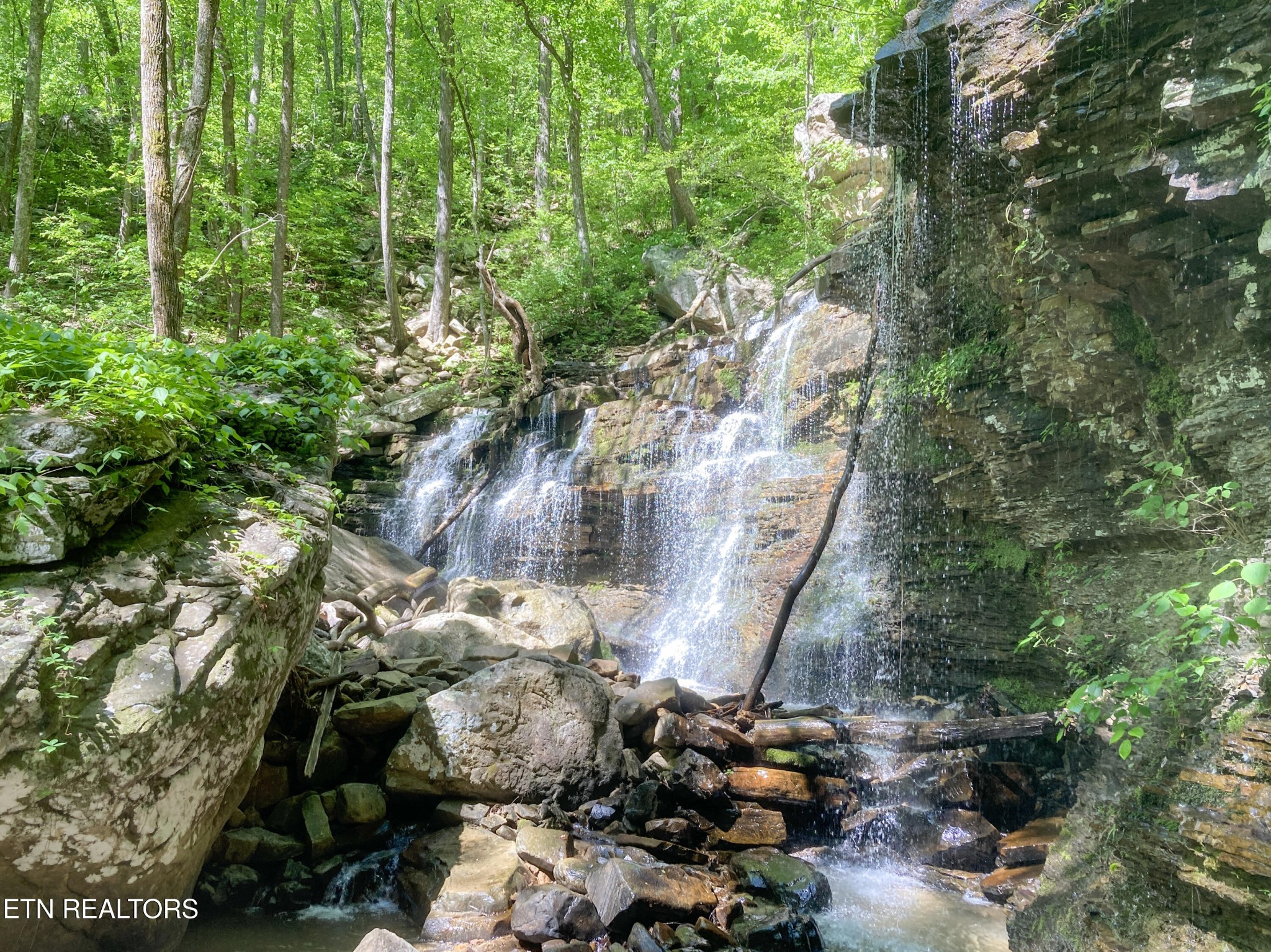 0 Rockfort Road - 100 Acres Pikeville TN 37367