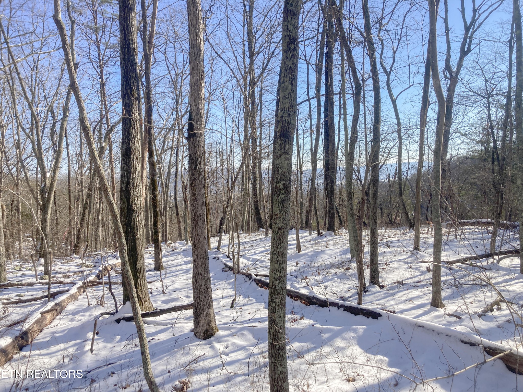 0 Rockfort Road - 100 Acres Pikeville TN 37367