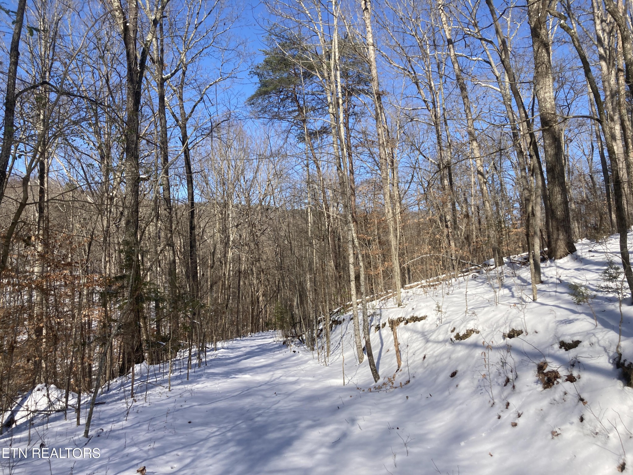 0 Rockfort Road - 100 Acres Pikeville TN 37367
