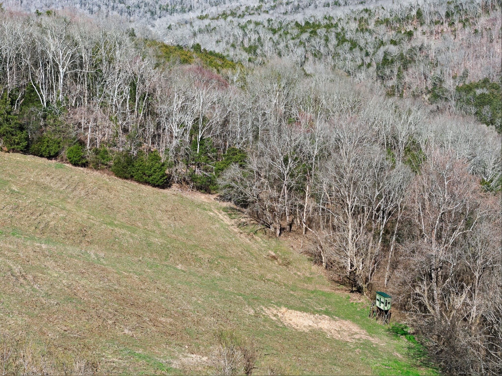 1700 Hannah Branch Road Liberty TN 37095