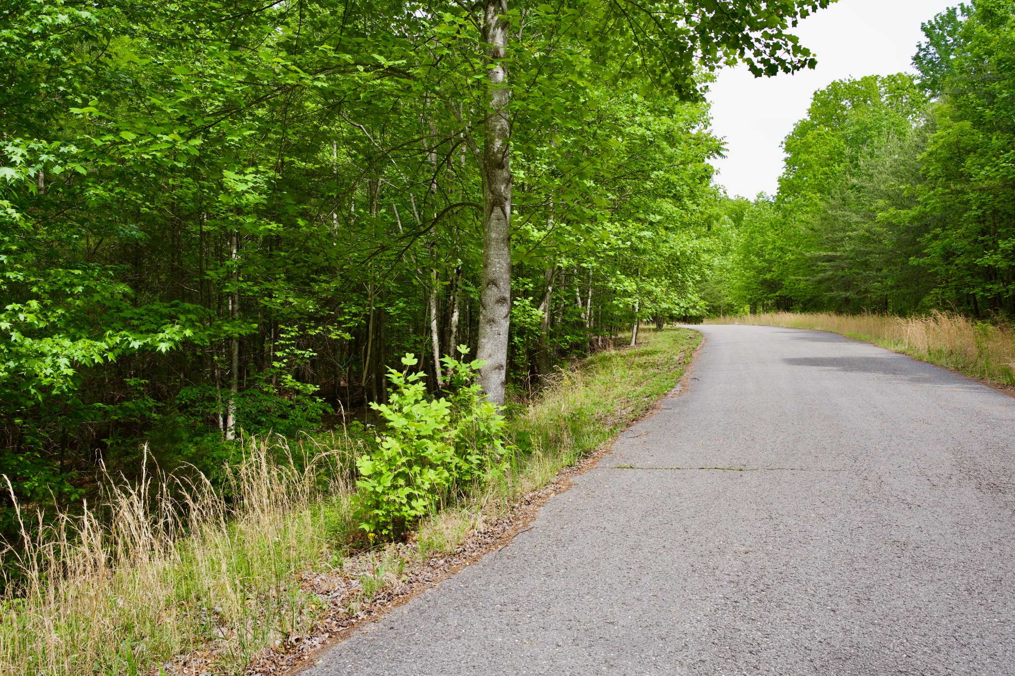 0 Hills Cemetery Road Spencer TN 38585