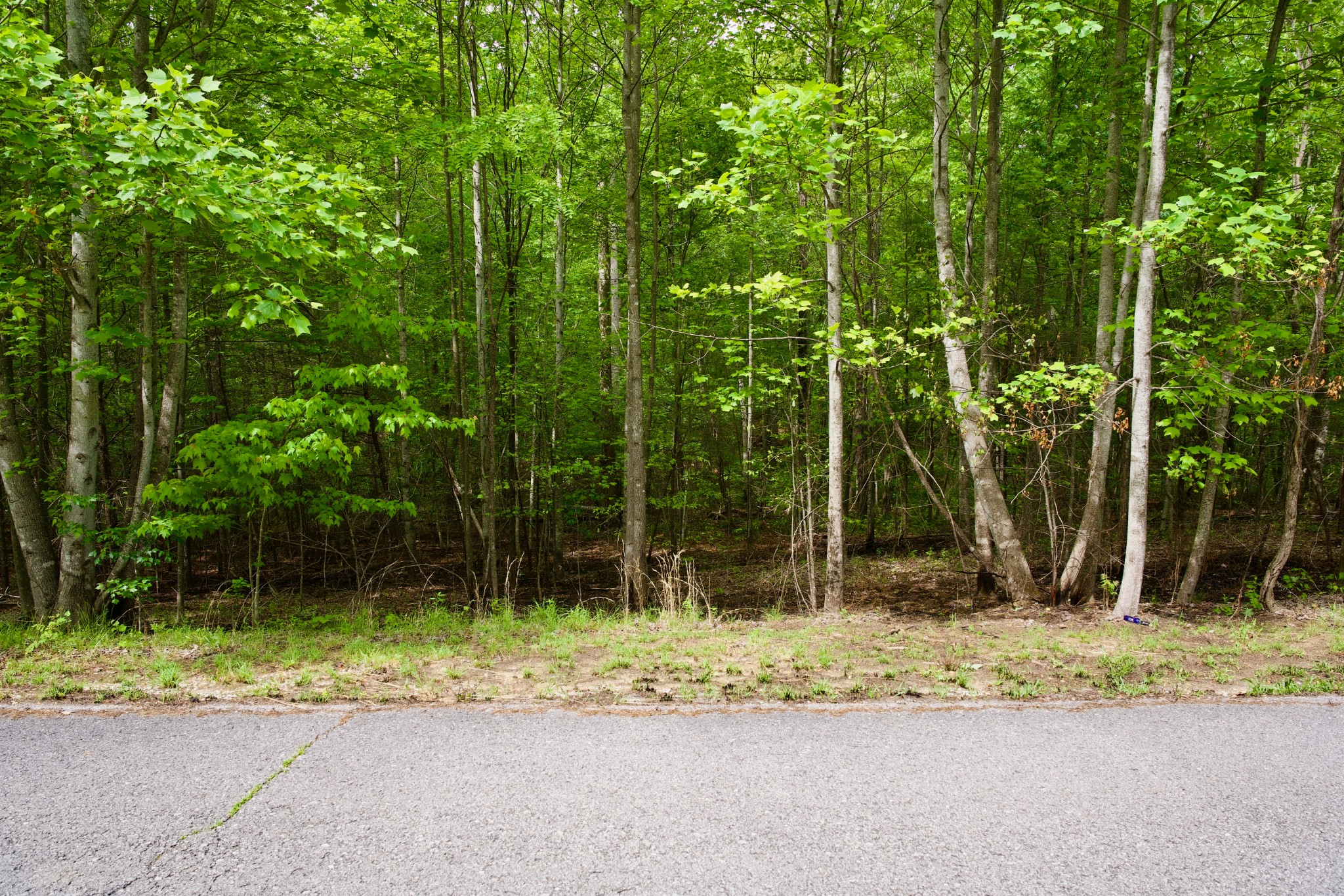 0 Hills Cemetery Road Spencer TN 38585