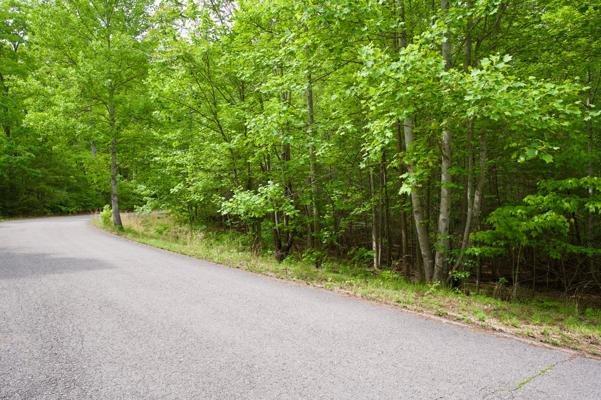 0 Hills Cemetery Road Spencer TN 38585