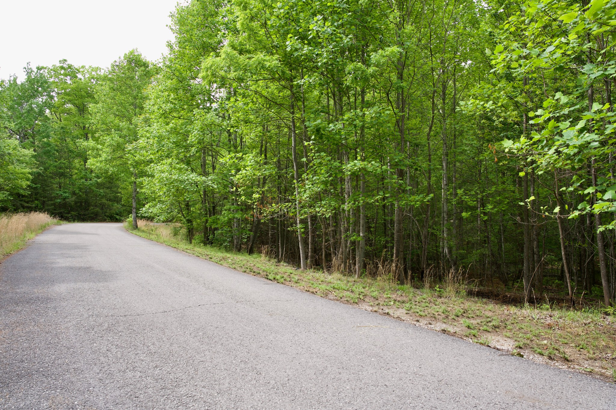 0 Hills Cemetery Road Spencer TN 38585