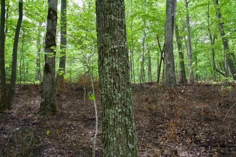 0 Hills Cemetery Road Spencer TN 38585