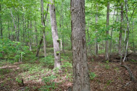 0 Hills Cemetery Road Spencer TN 38585