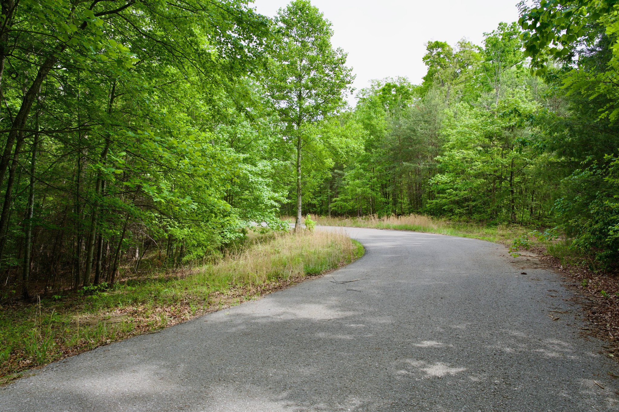 0 Hills Cemetery Road Spencer TN 38585