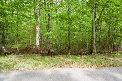 0 Hills Cemetery Road Spencer TN 38585