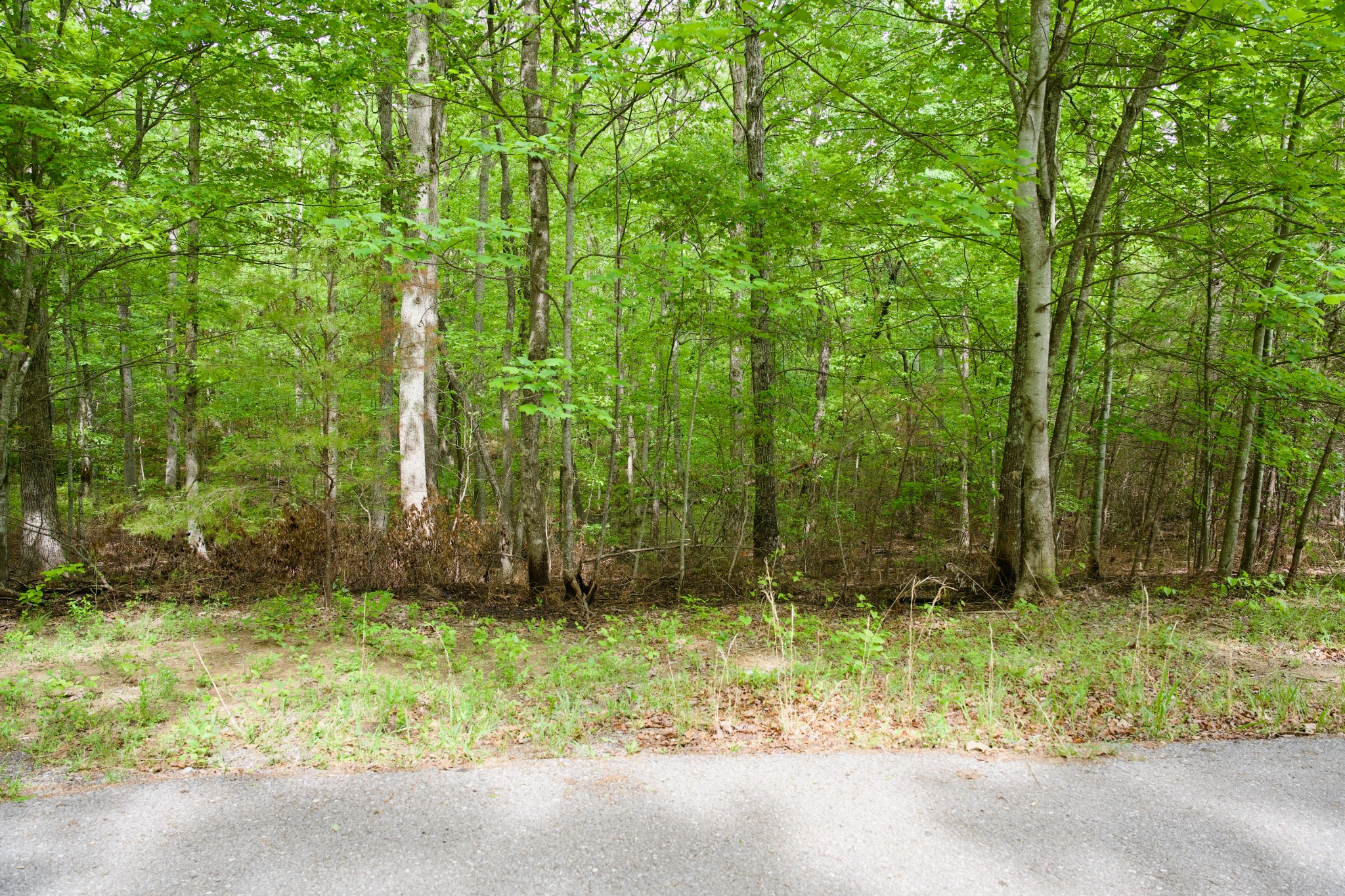 0 Hills Cemetery Road Spencer TN 38585