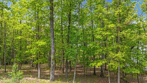 4288 Amethyst Road Chattanooga TN 37419