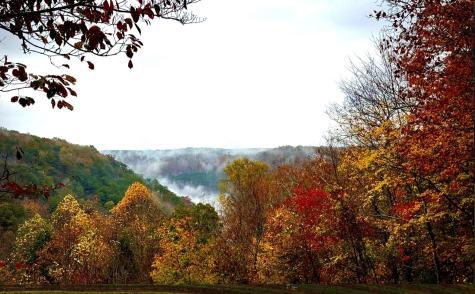 2318 Little Bend Road Signal Mountain TN 37377