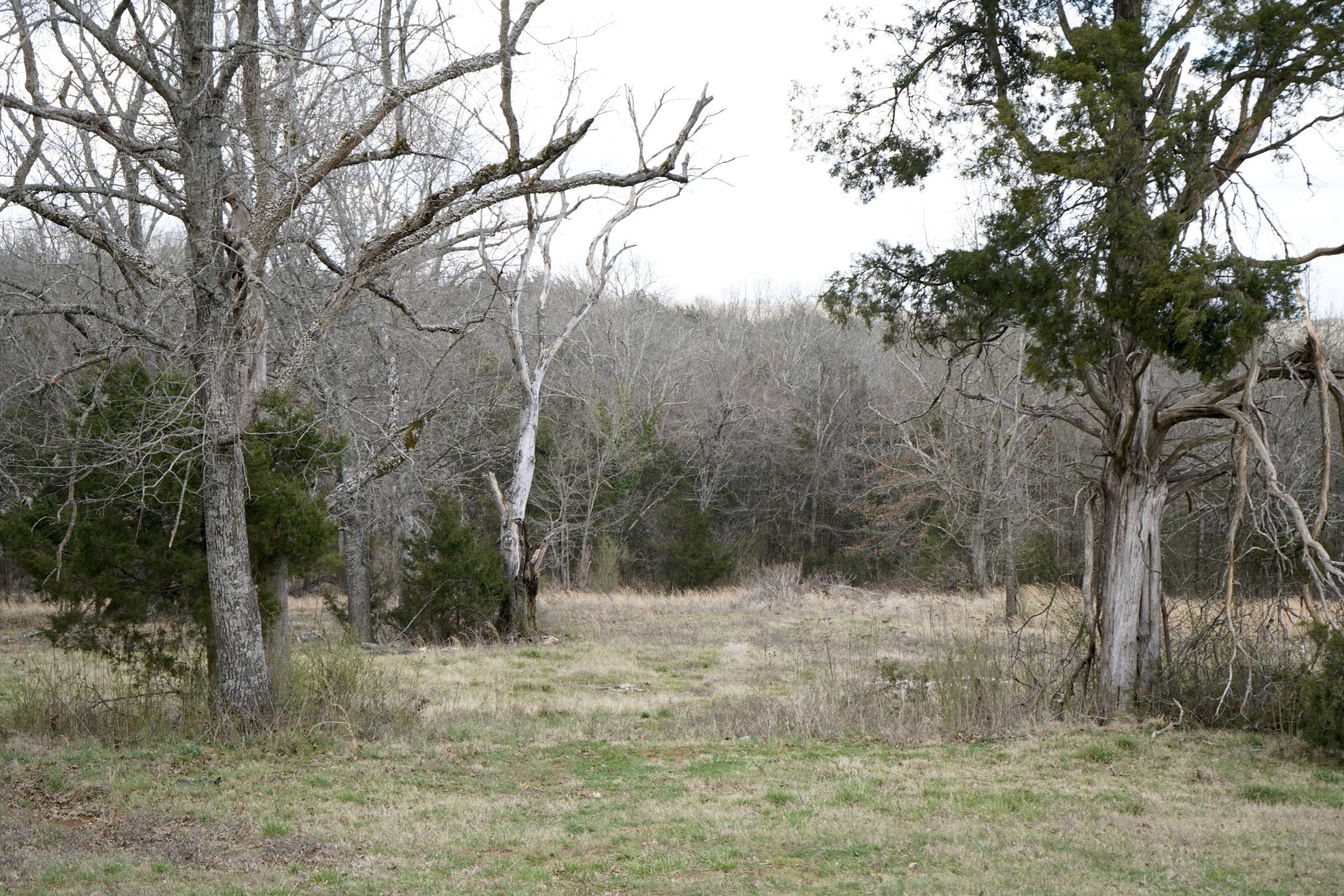 999 Old Lewisburg Highway Columbia TN 38401