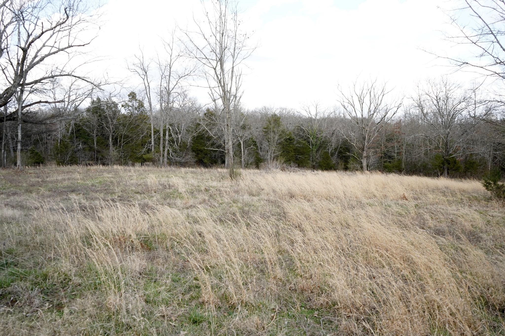 999 Old Lewisburg Highway Columbia TN 38401