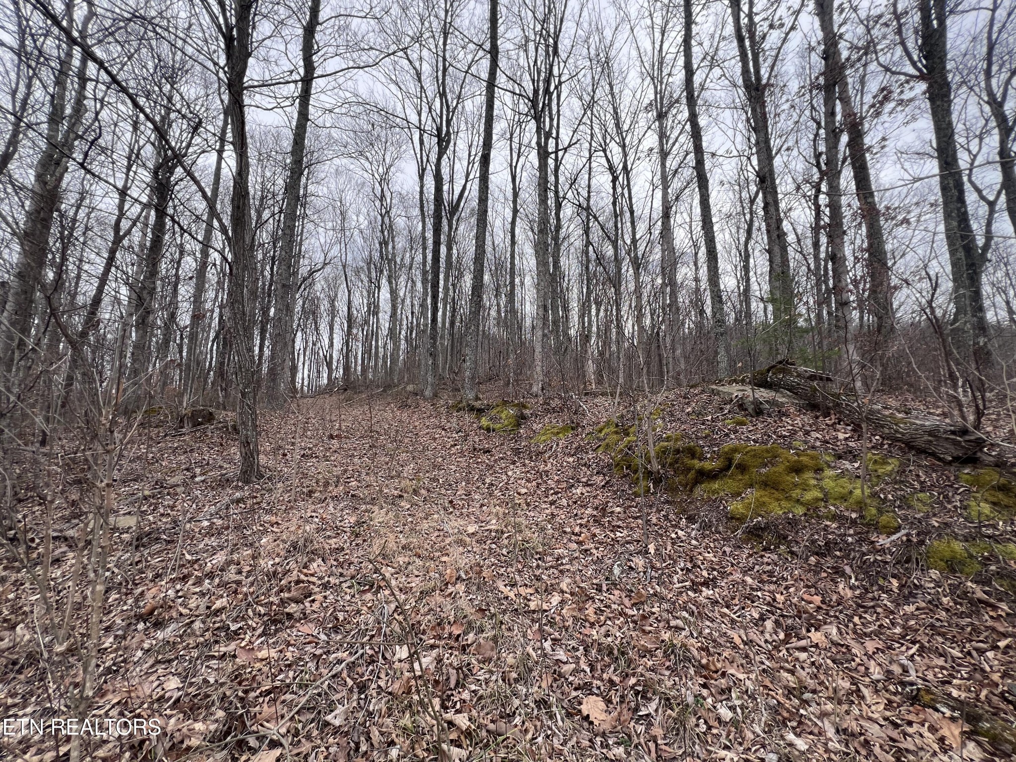 0 Lot 62 Apache Road Jamestown TN 38556