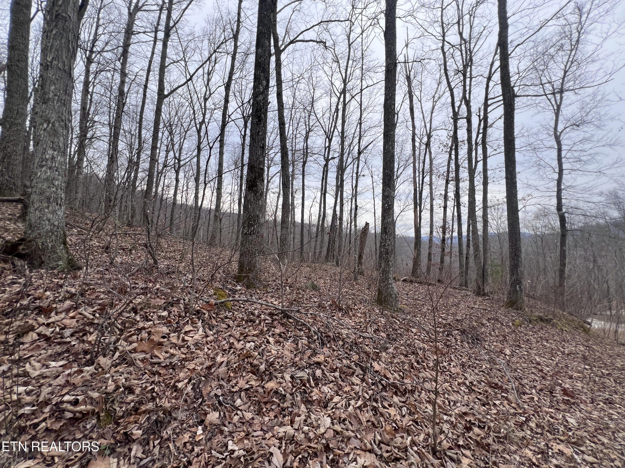0 Lot 62 Apache Road Jamestown TN 38556