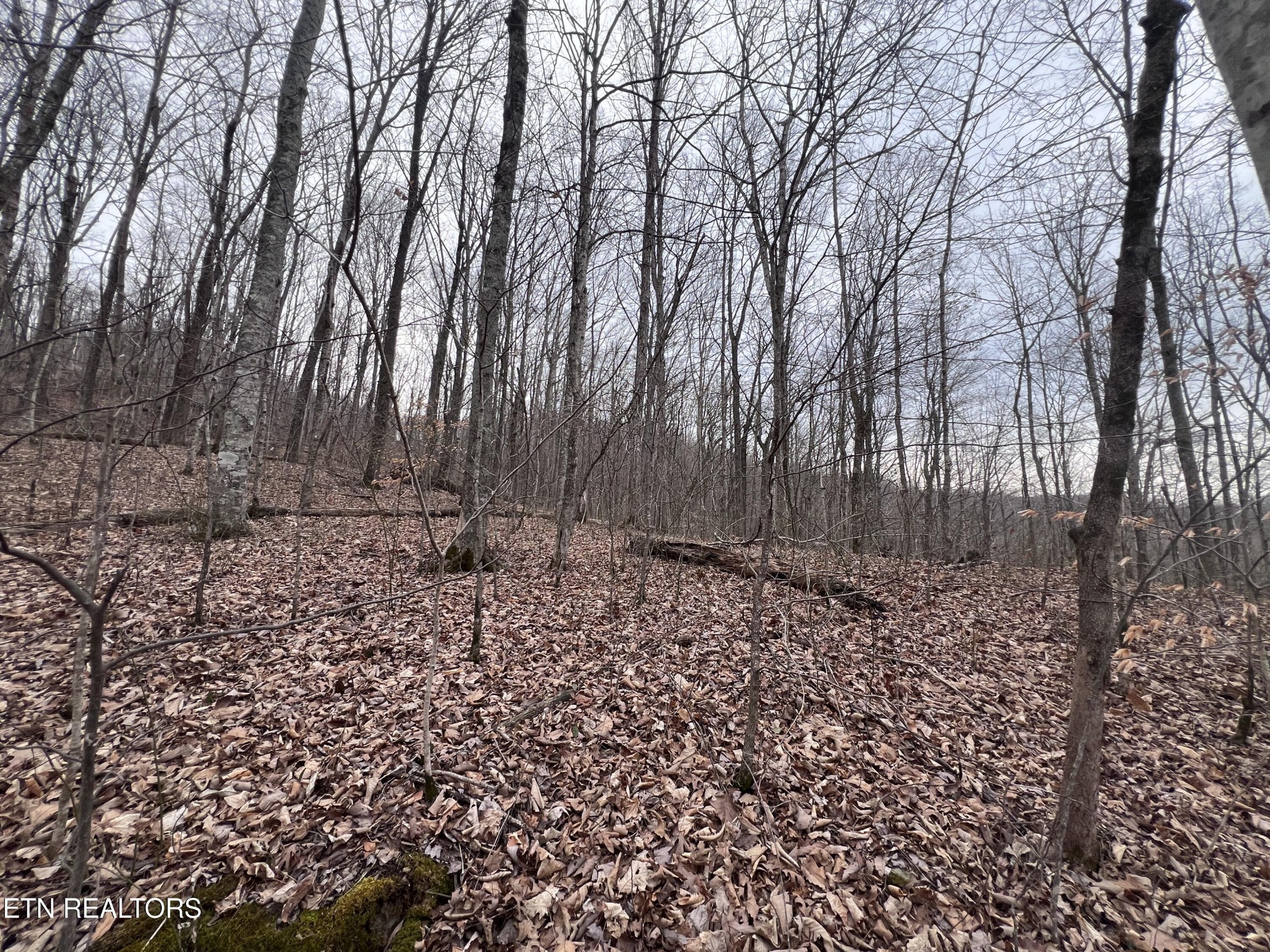 0 Lot 62 Apache Road Jamestown TN 38556