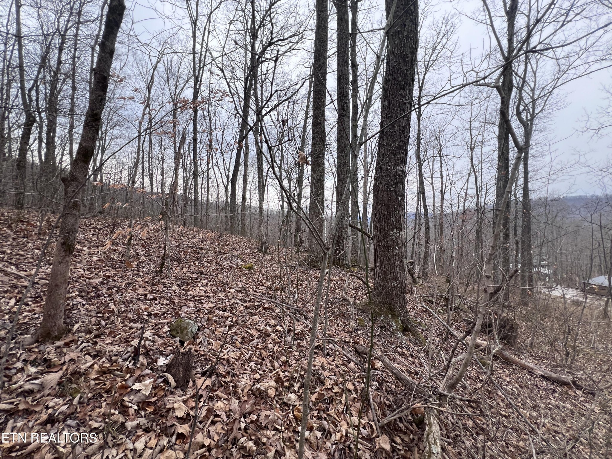 0 Lot 62 Apache Road Jamestown TN 38556