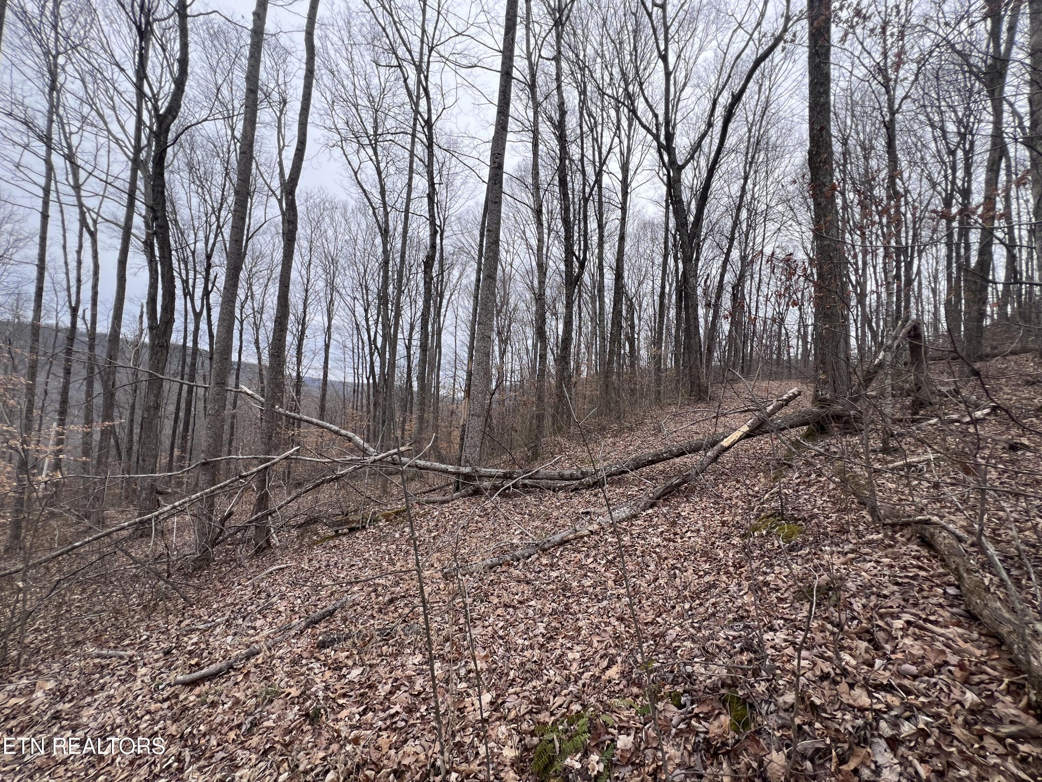 0 Lot 62 Apache Road Jamestown TN 38556